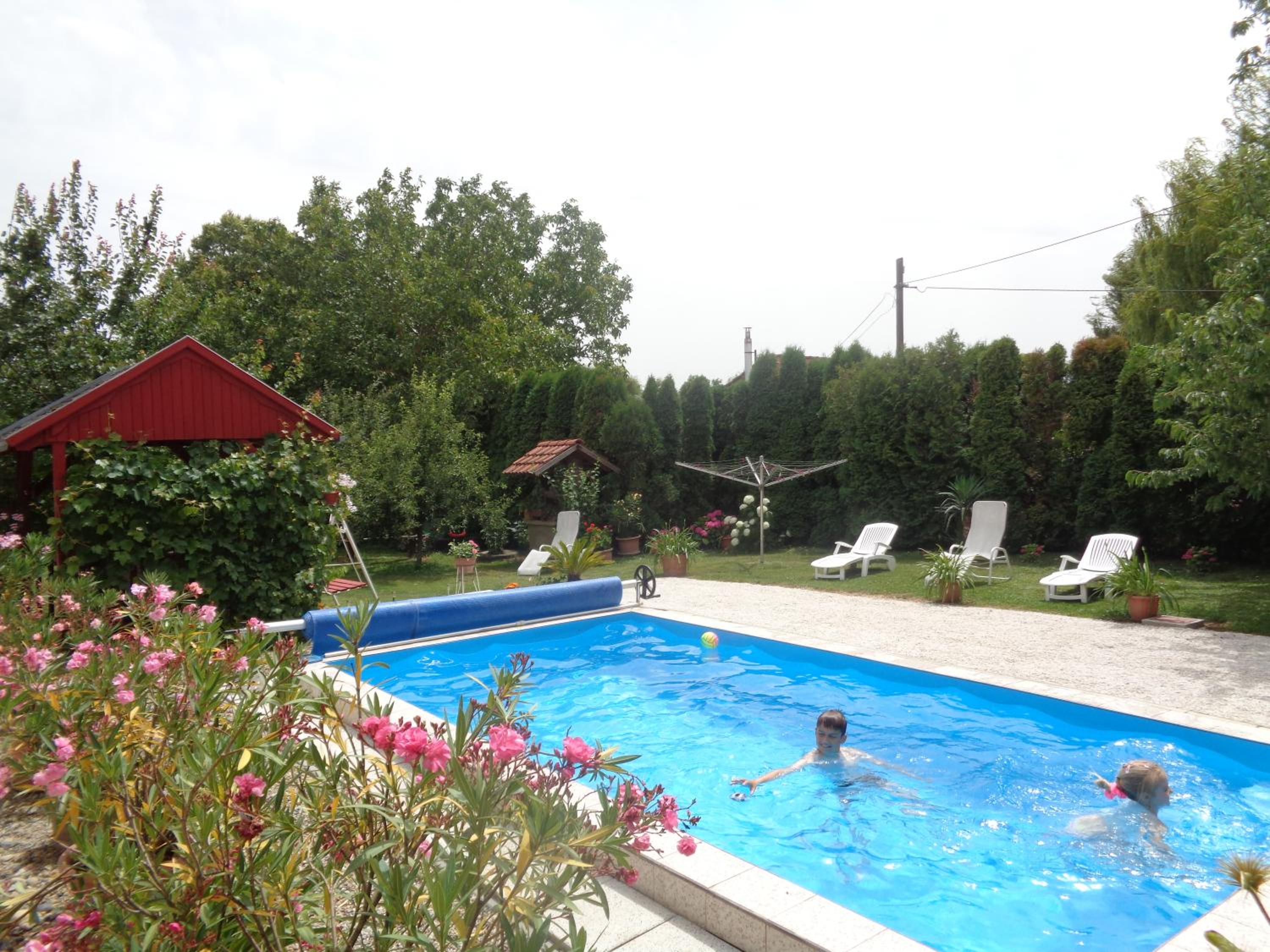Photo 46