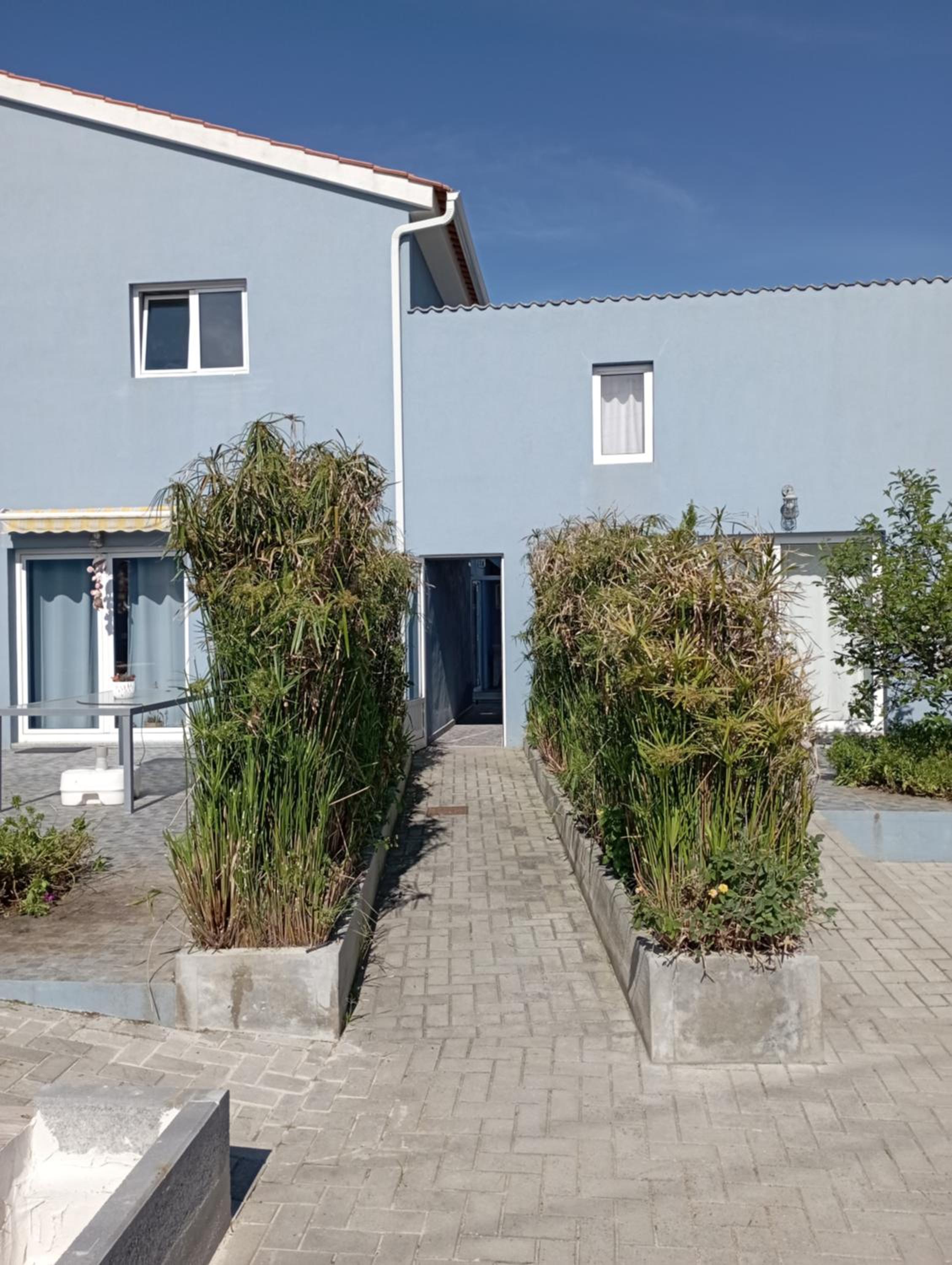 T2 na Praia da Costa Nova - Yellow Door view 4