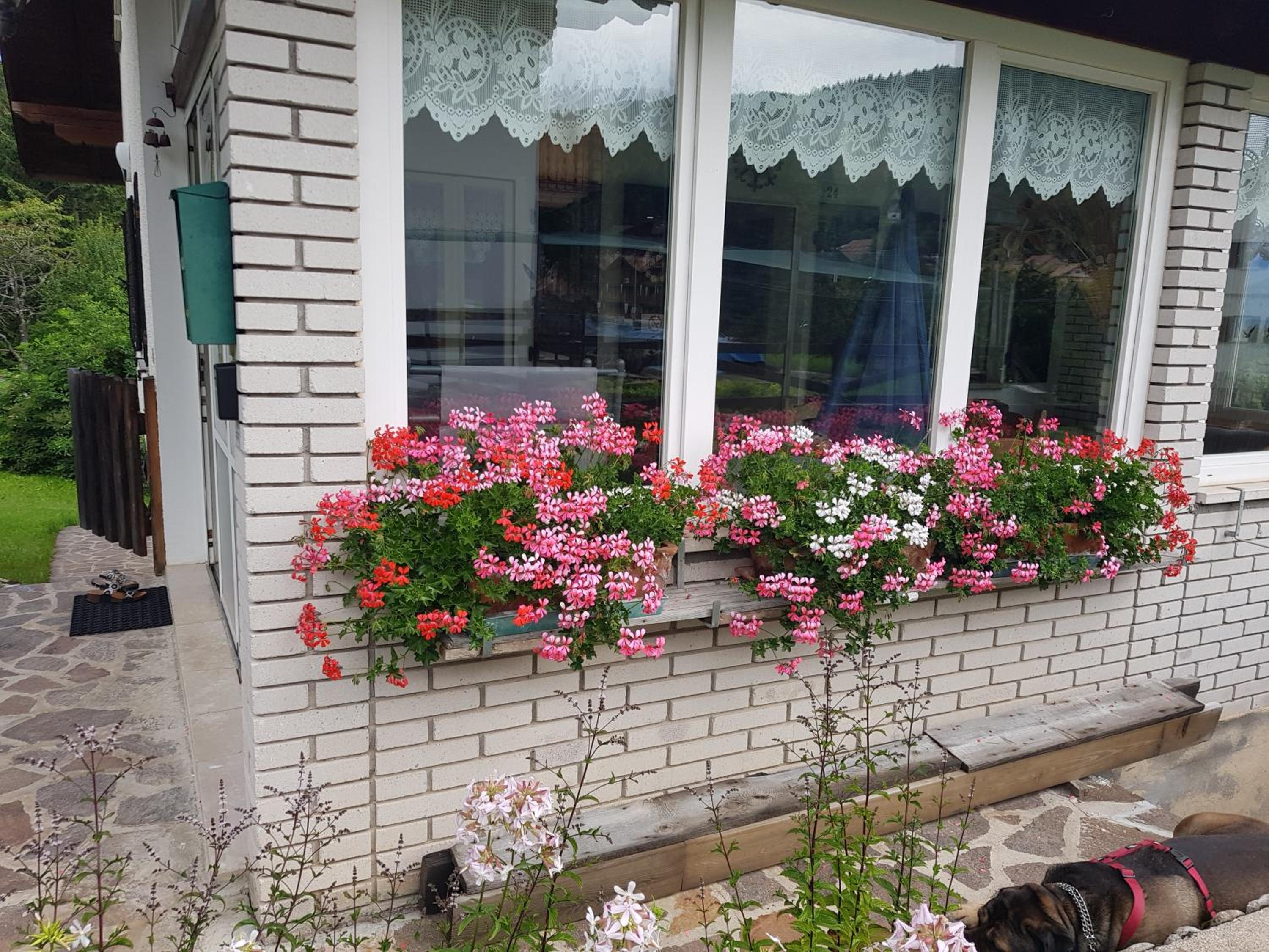 Photo 33