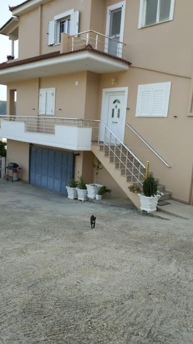 Vila Xheka