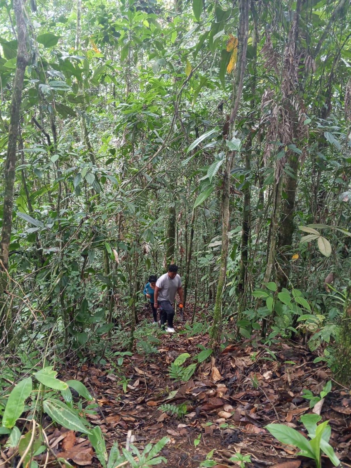 Ingaru Amazon Lodge