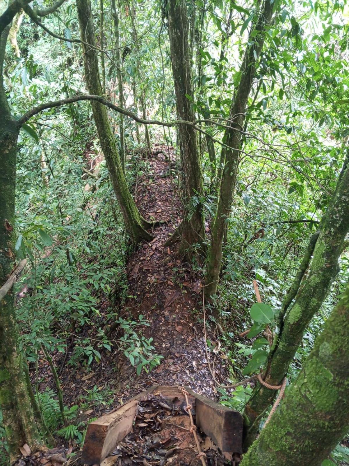 Ingaru Amazon Lodge