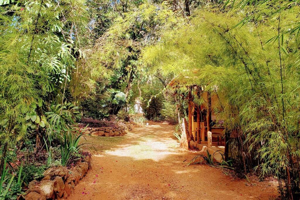 Casa Quereres - autenticidade e afeto