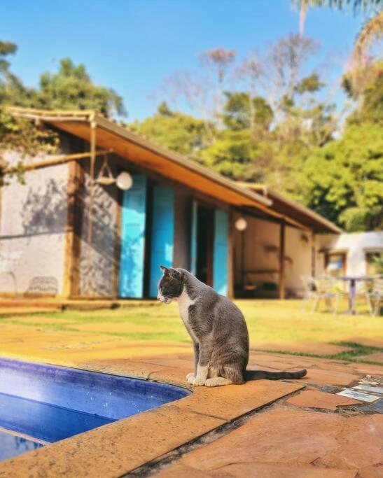 Casa Quereres - autenticidade e afeto