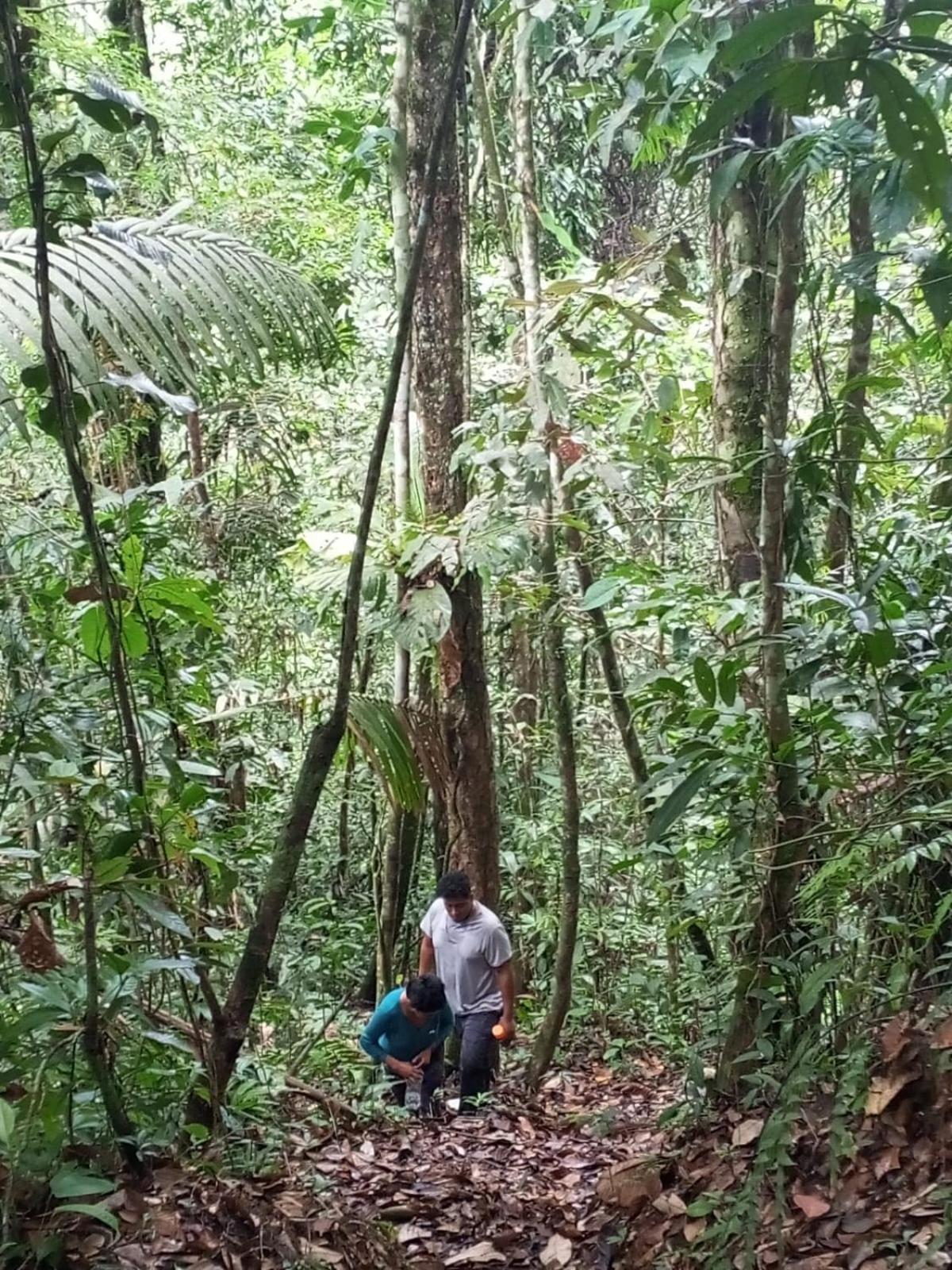 Ingaru Amazon Lodge