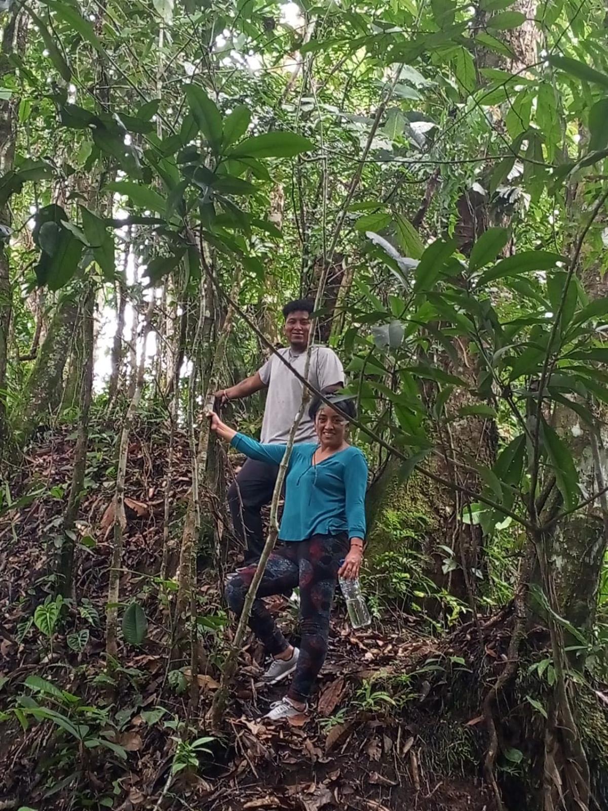 Ingaru Amazon Lodge