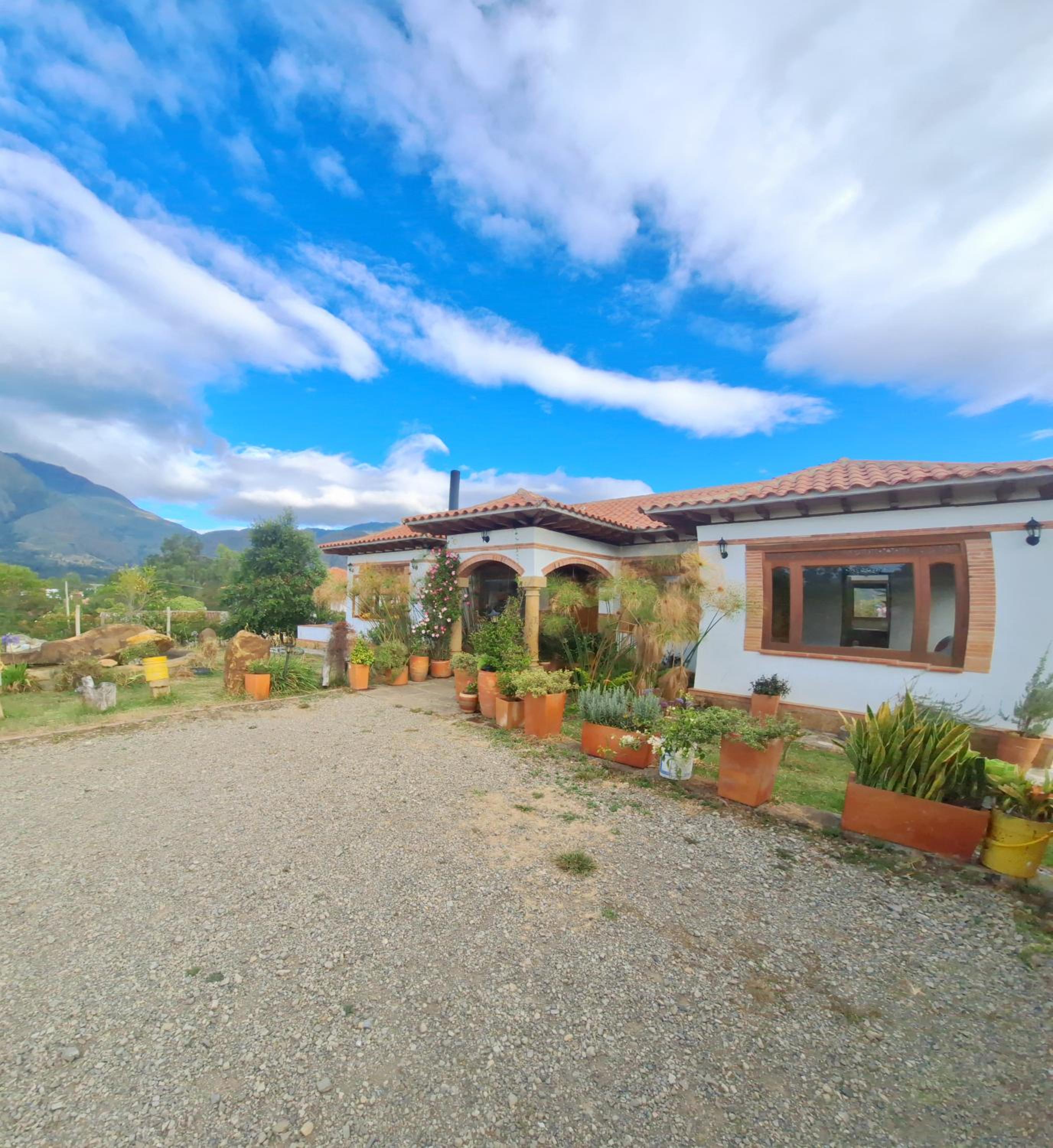 Home Boutique Flores Amarillas