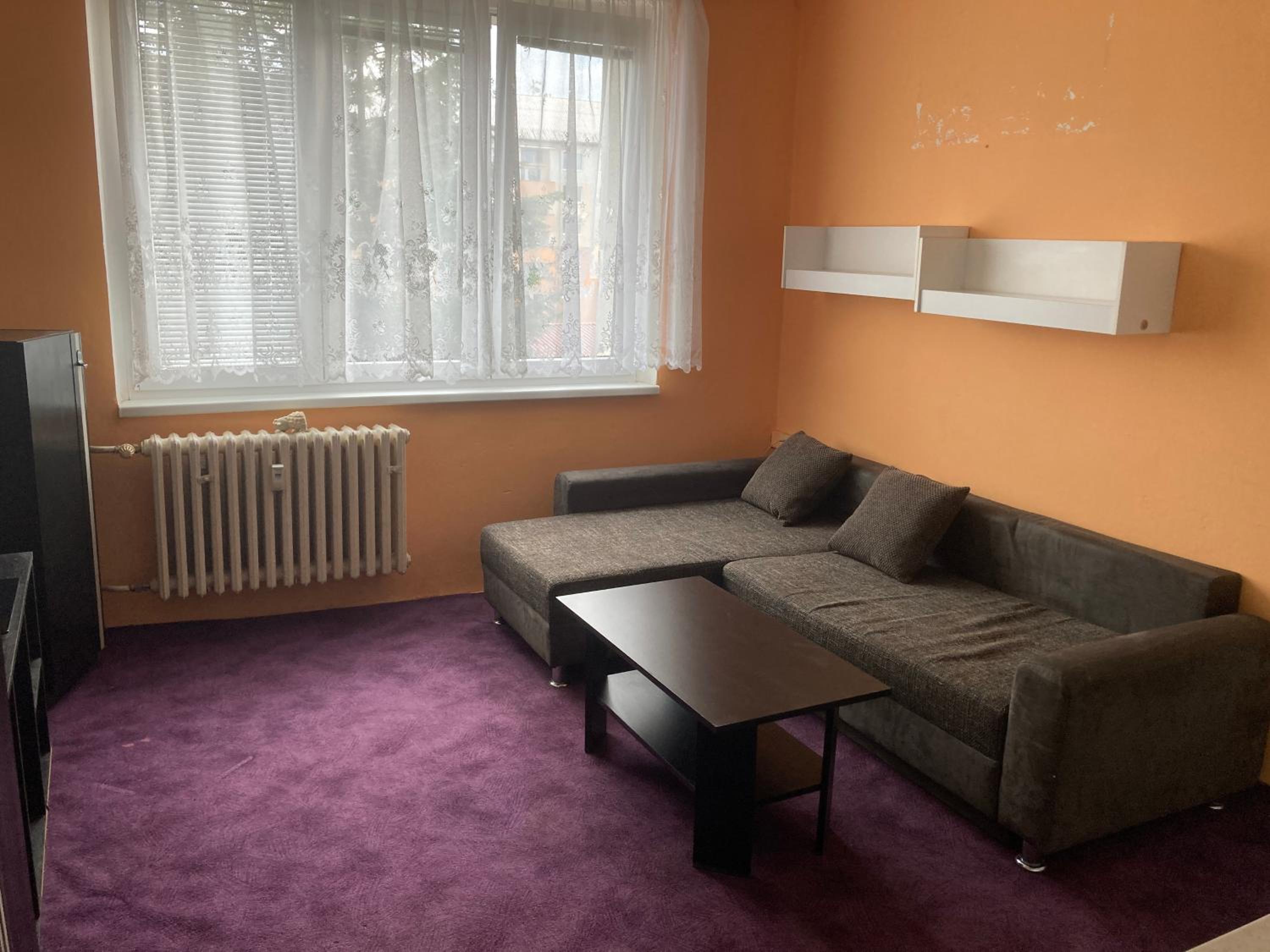 Garsoniera U lesoparku
