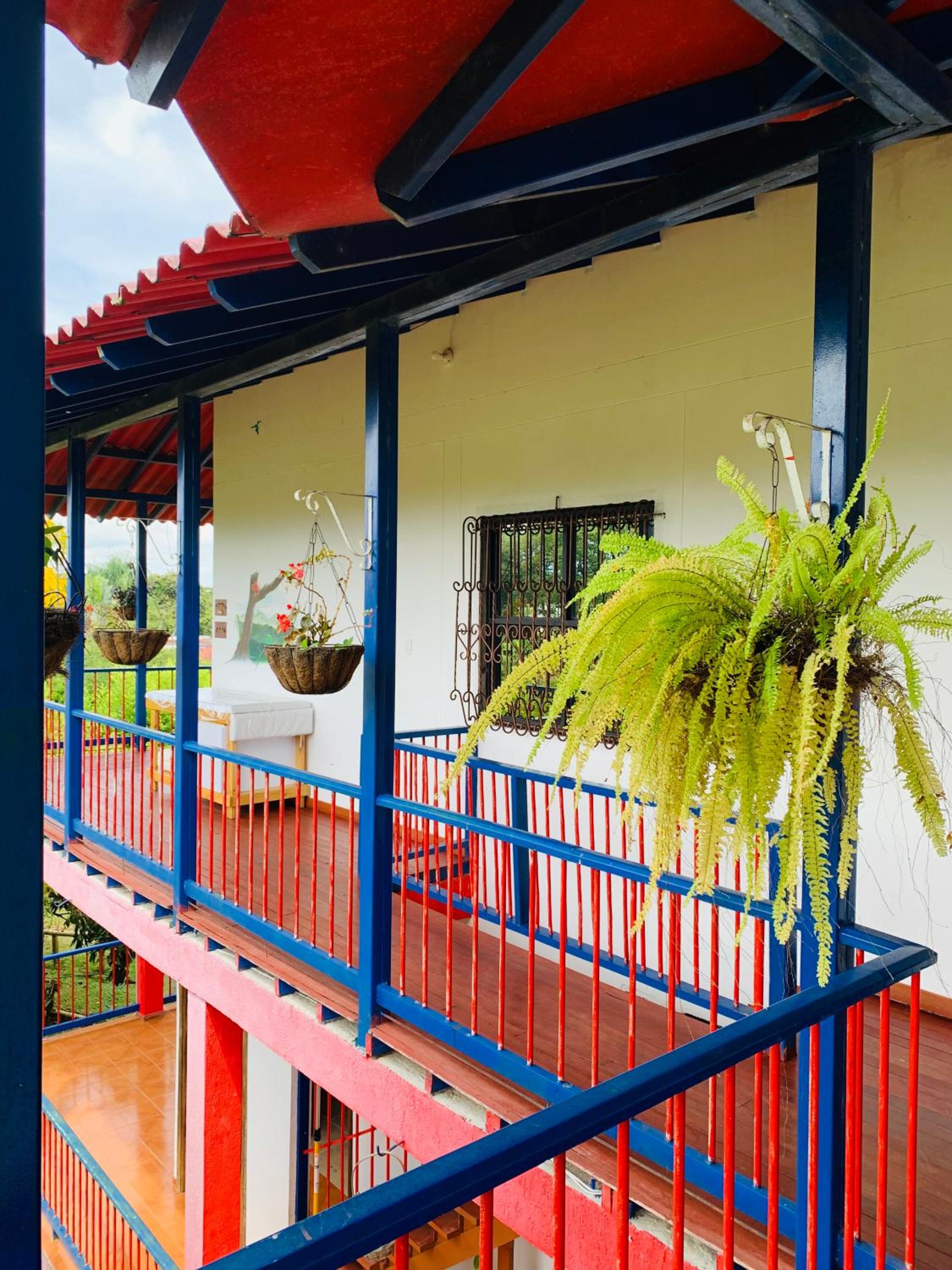 Finca Hotel Calle Jardin