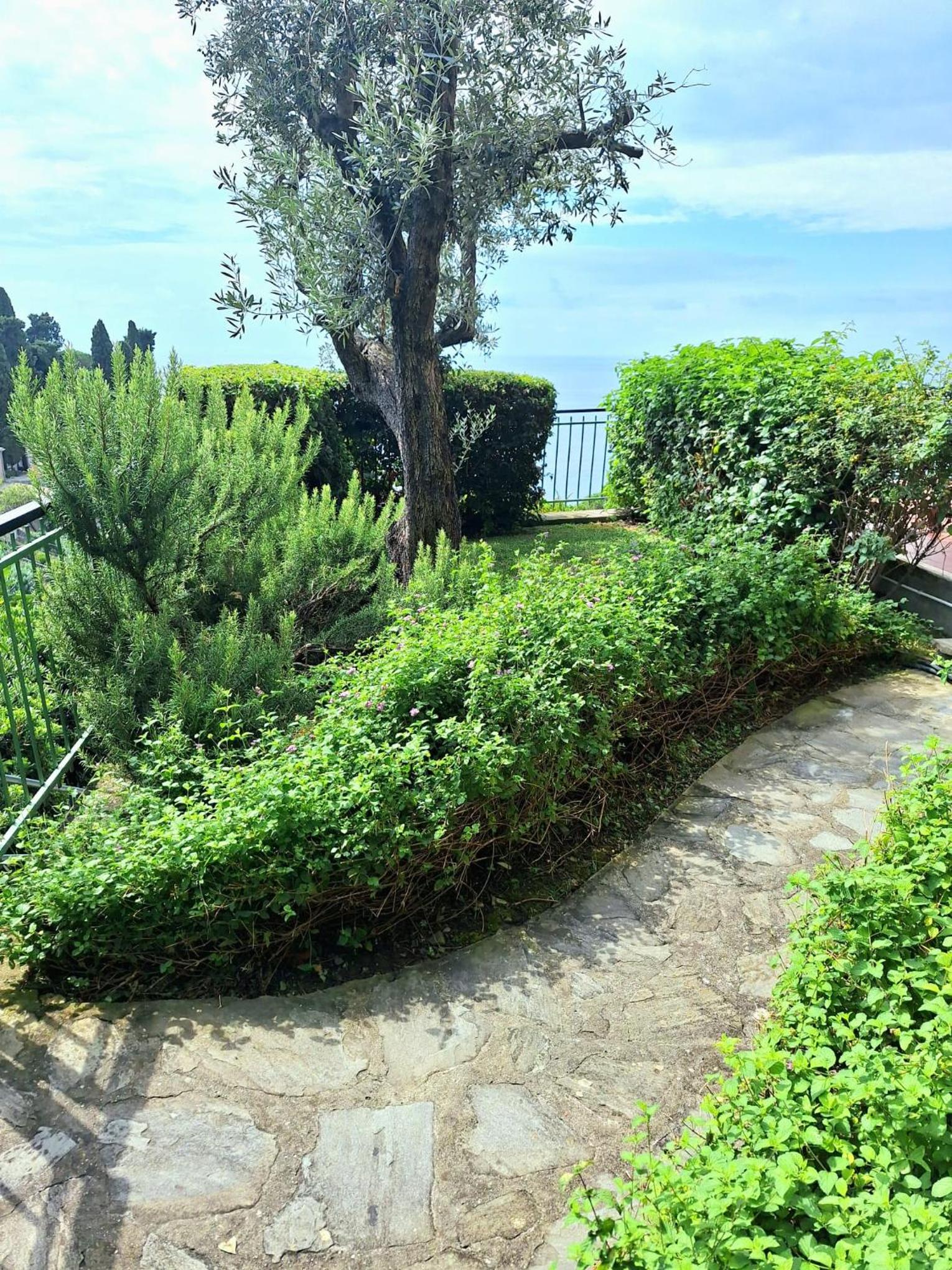 Casa Angelo view 5