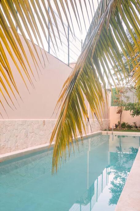 Increíble Loft cerca de la playa