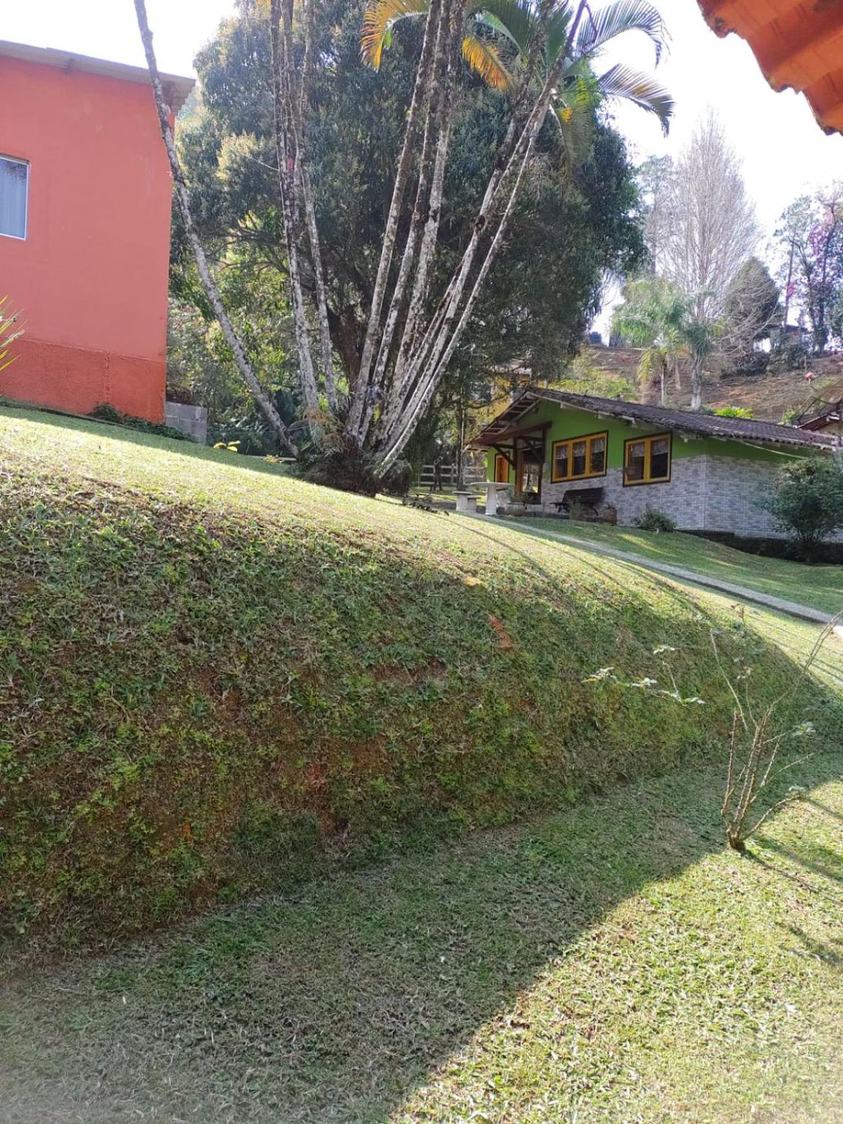Photo 48