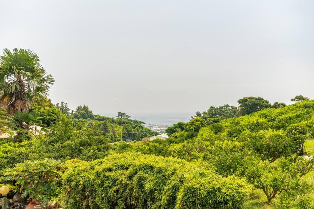 gyulpang stay view 5