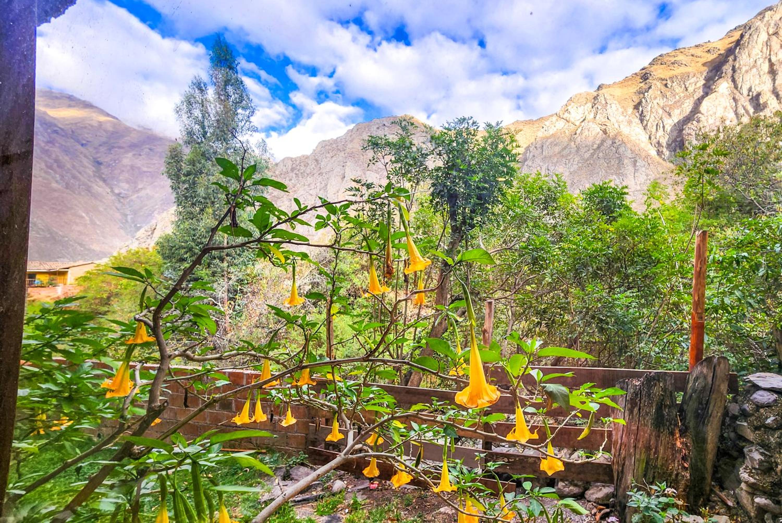 Peru Quechua's Lodge Ollantaytambo