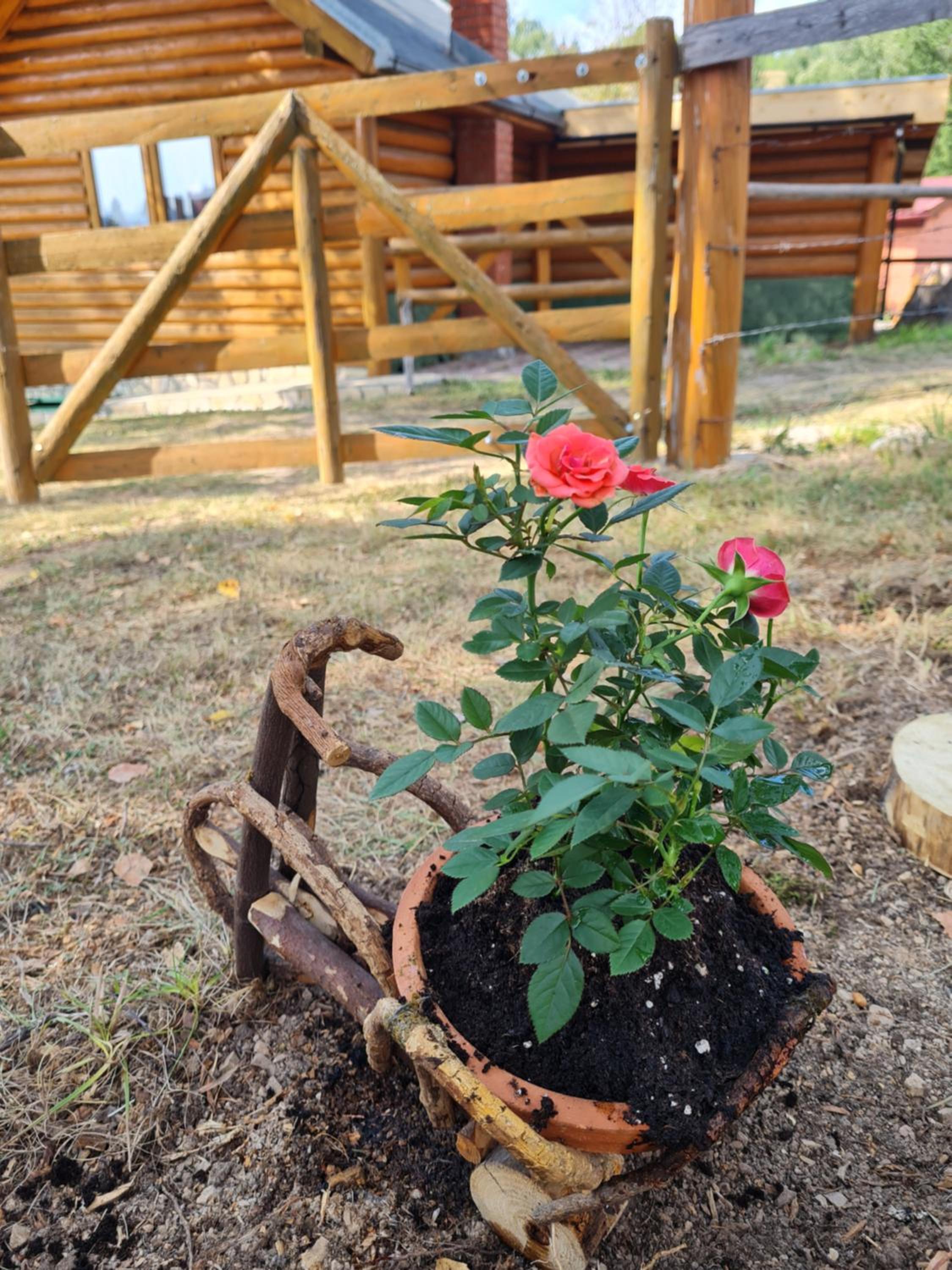 Planinska kuca Ella