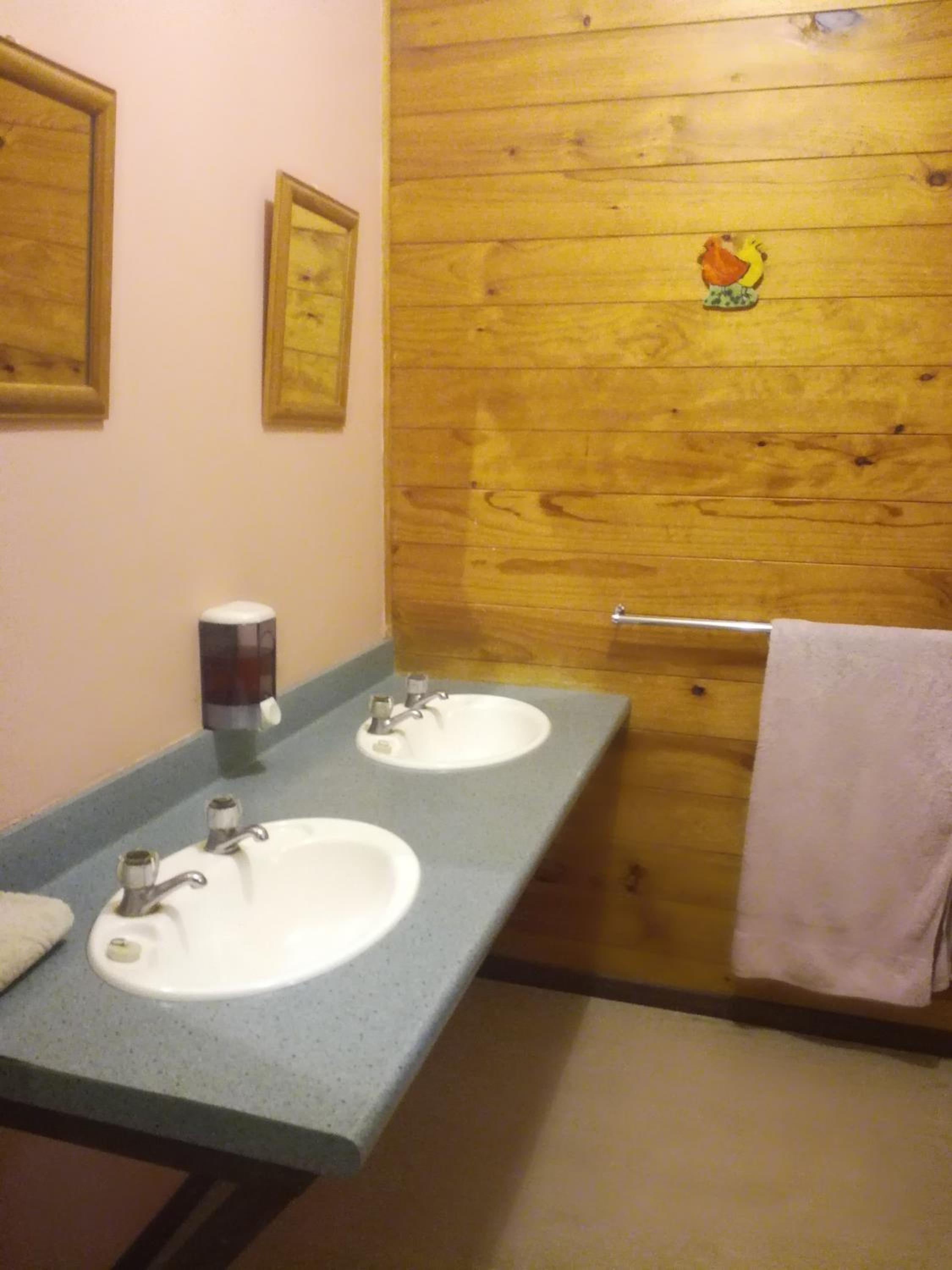 Photo 44
