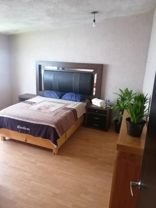 Agradable y espaciosa casa en toluca petfriendly view 3