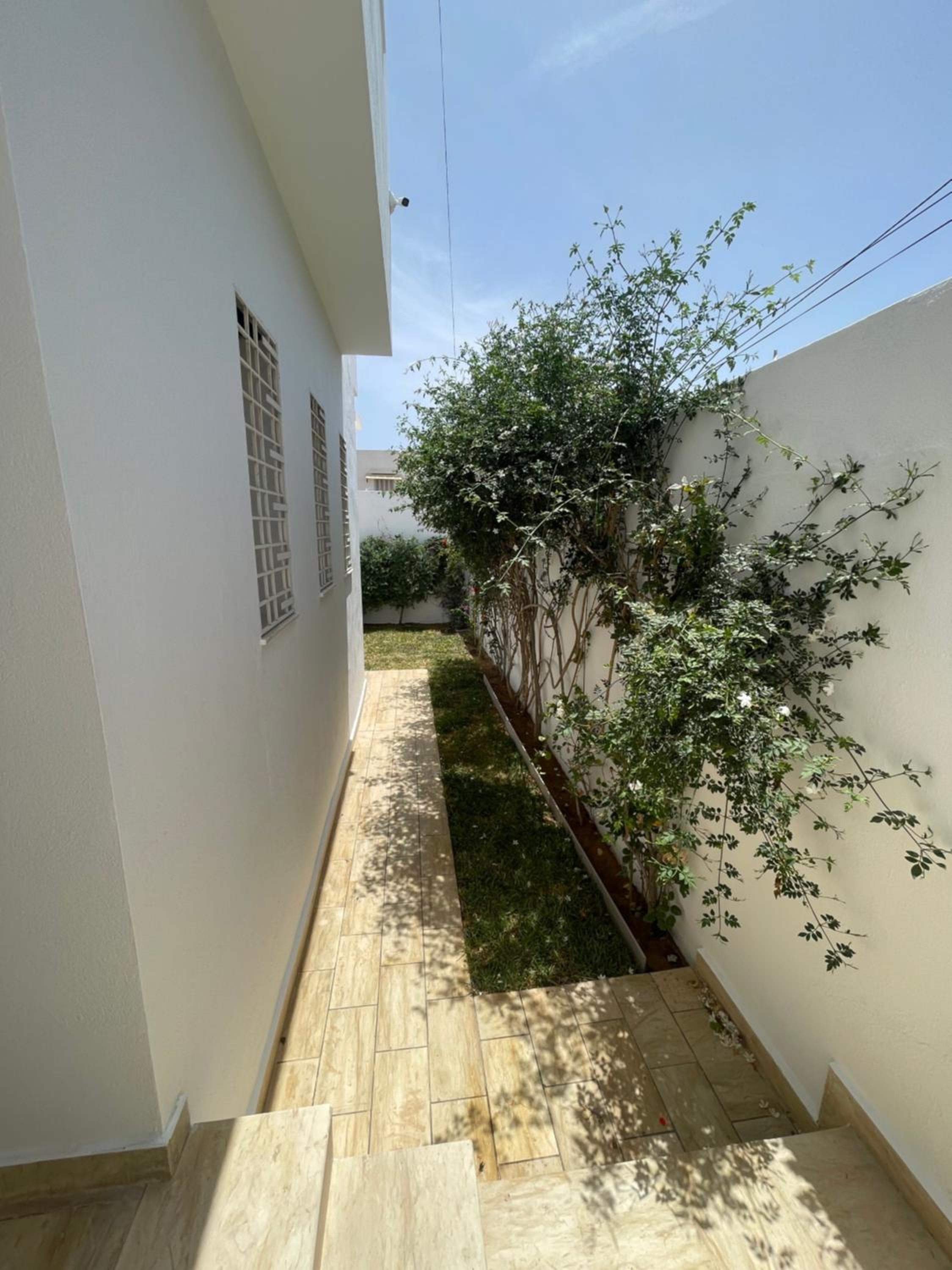 Midou hammamet
