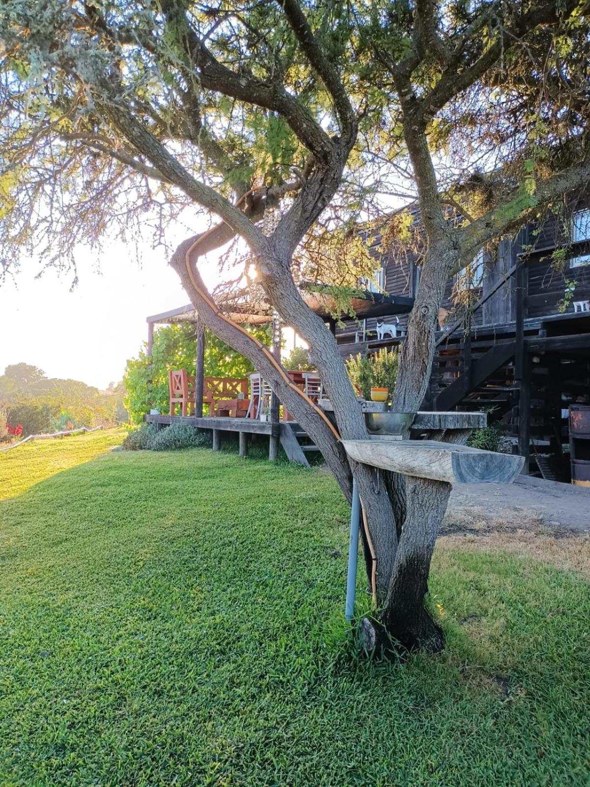 Yali Lodge