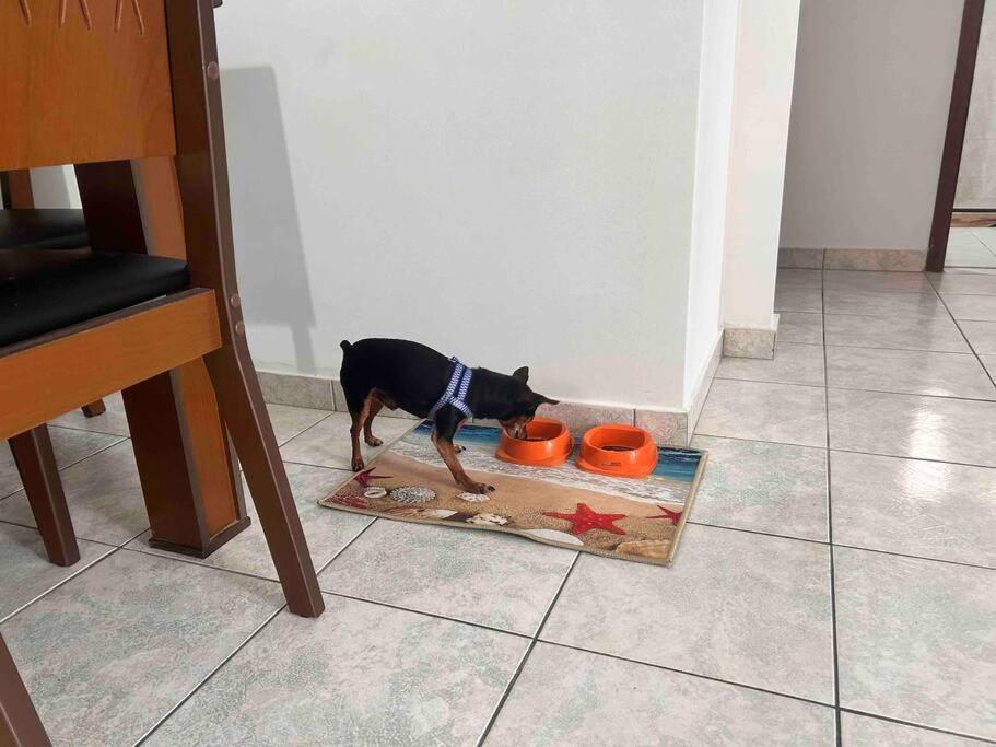Apartamento muito gostoso a 20 m da Praia