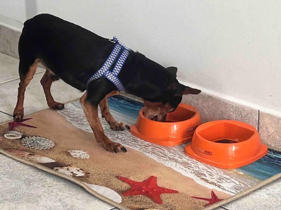 Apartamento muito gostoso a 20 m da Praia