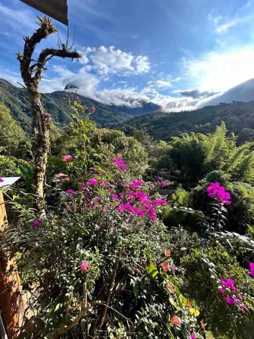 Finca Villa Real