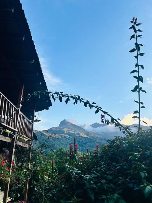 Finca Villa Real