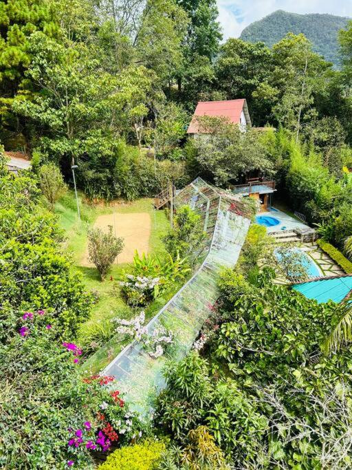 Finca Villa Real