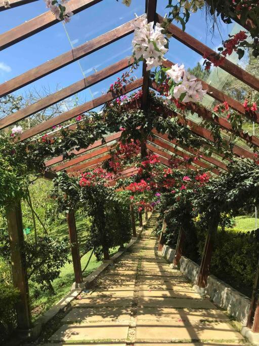 Finca Villa Real
