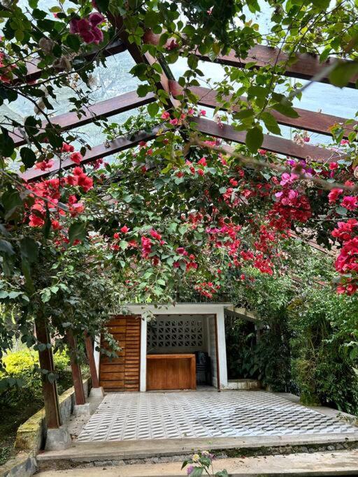Finca Villa Real