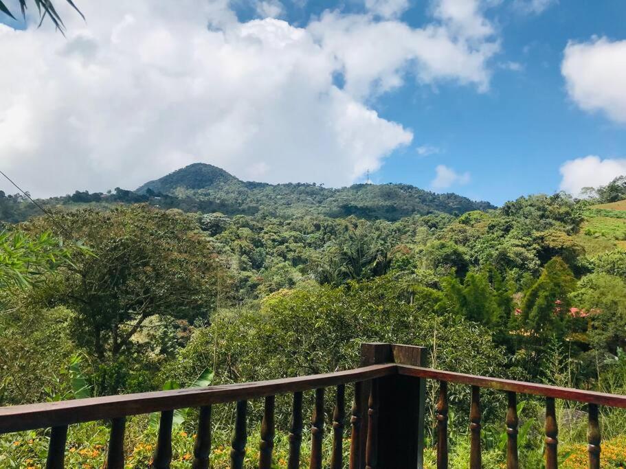 Finca Villa Real