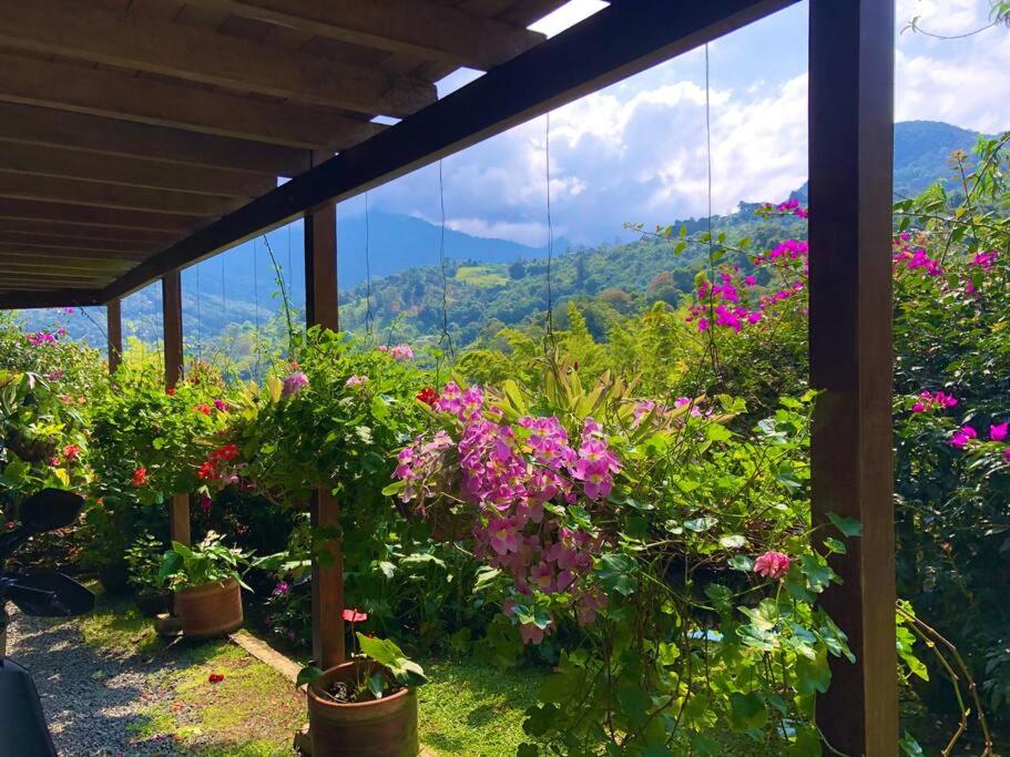 Finca Villa Real
