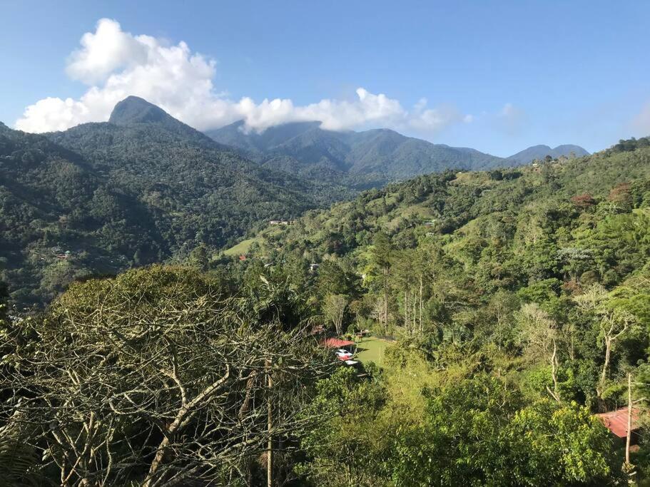Finca Villa Real