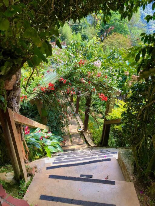 Finca Villa Real