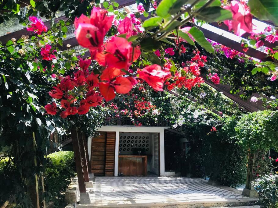 Finca Villa Real