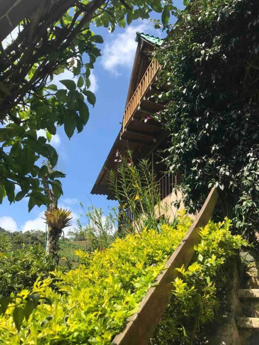 Finca Villa Real