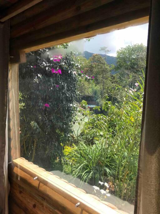 Finca Villa Real