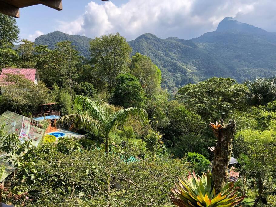 Finca Villa Real