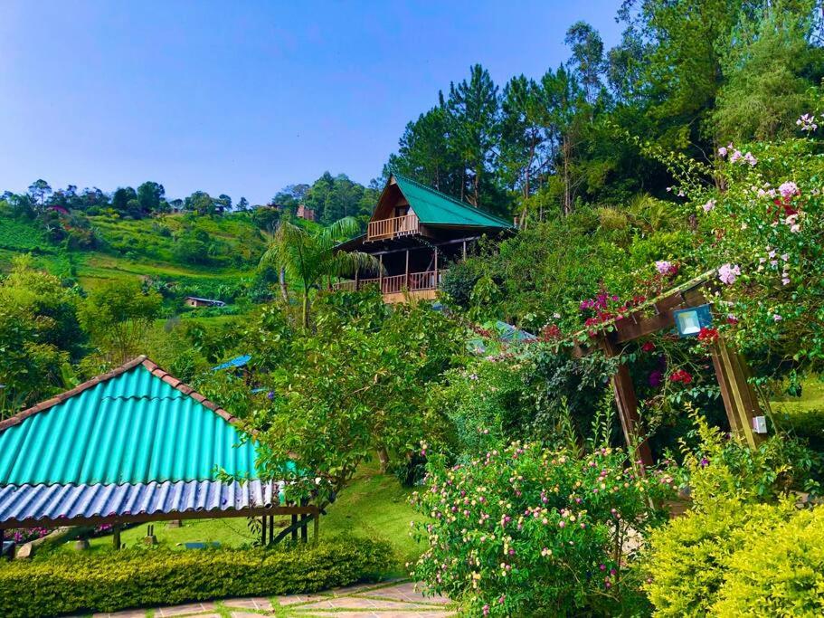 Finca Villa Real