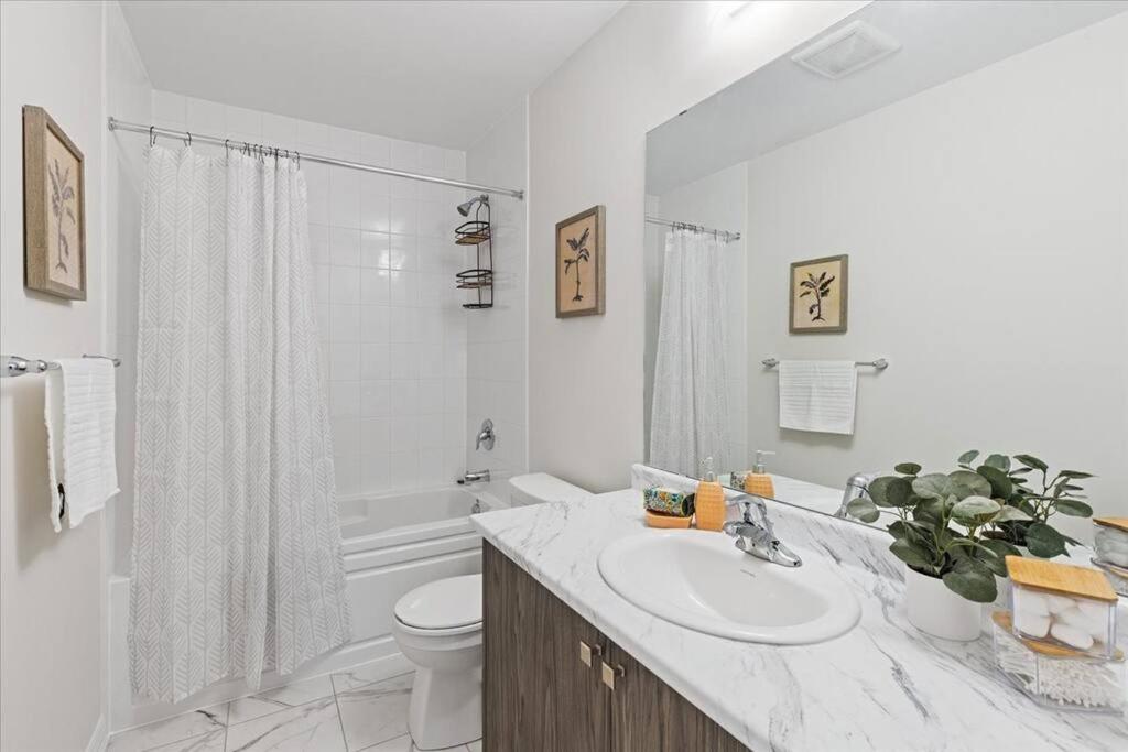 NEW- Falls Serenity Sanctuary