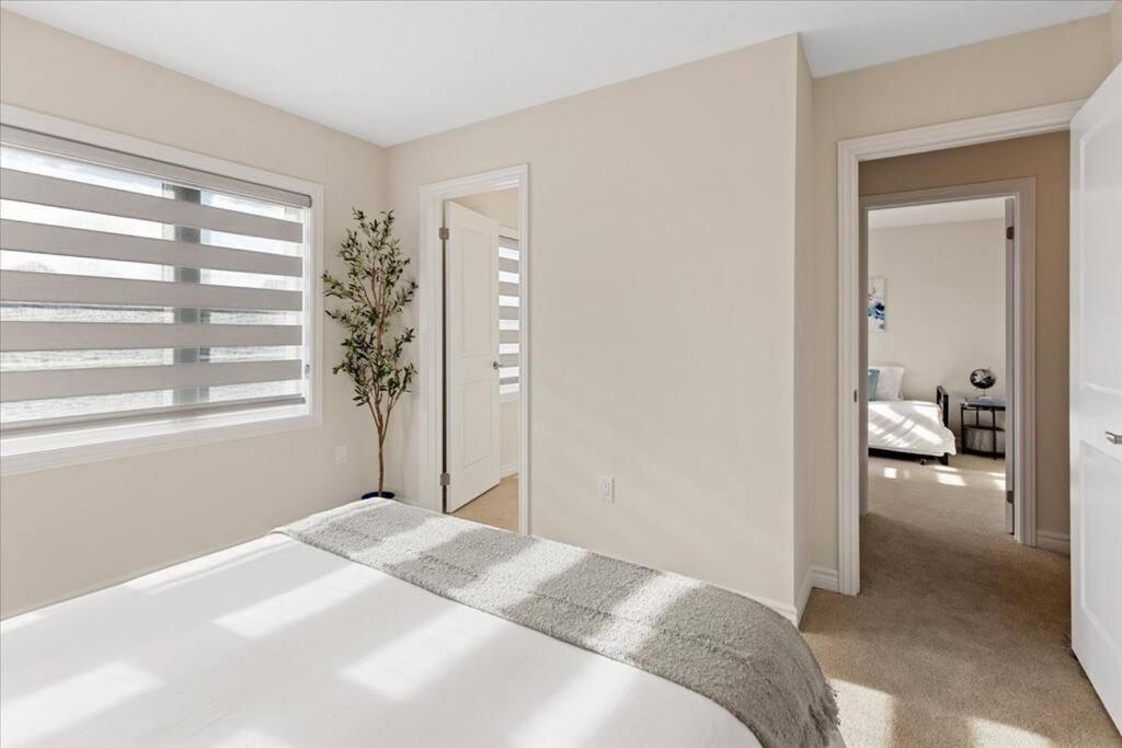 NEW- Falls Serenity Sanctuary