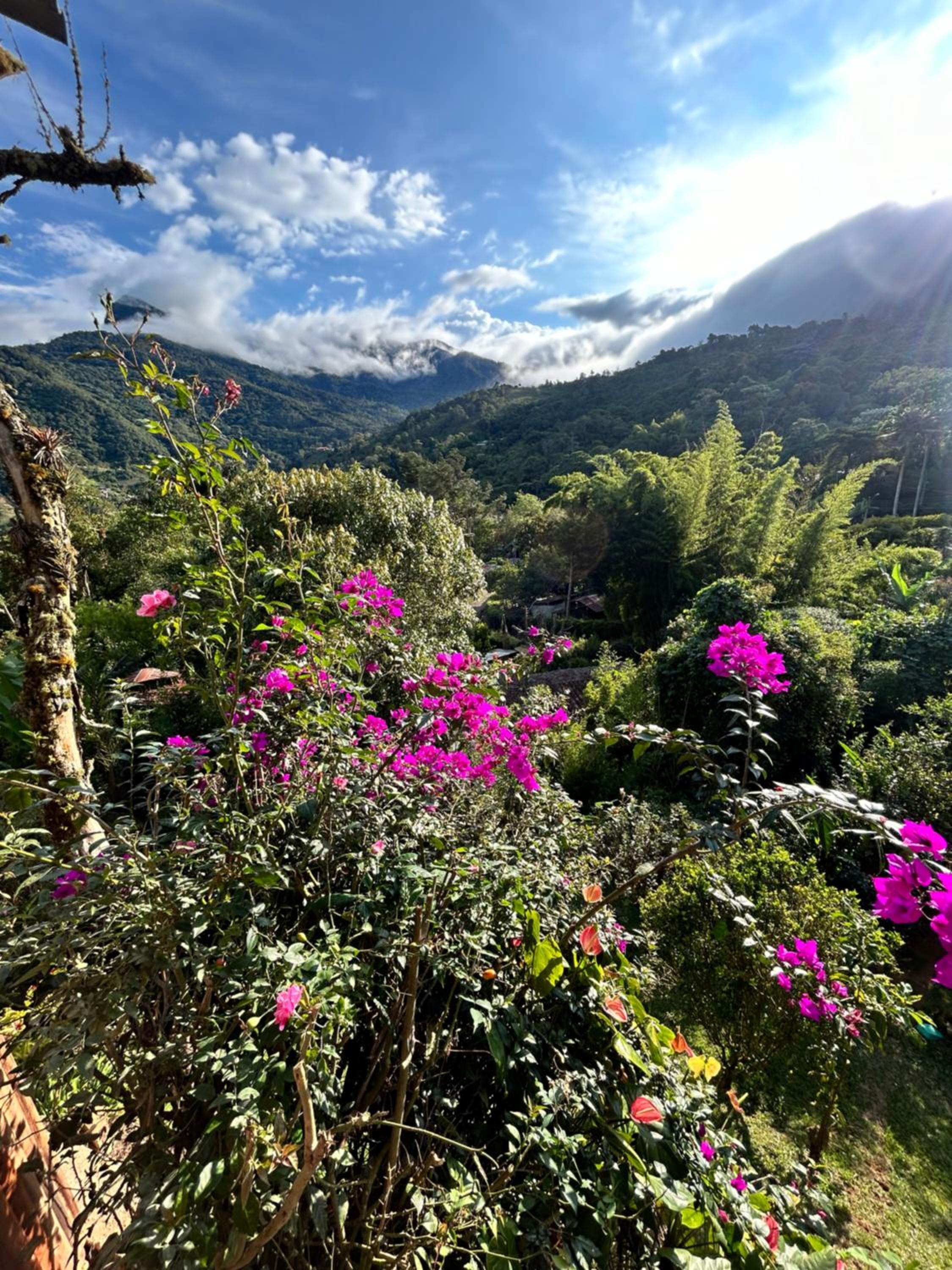 Finca Villa Real