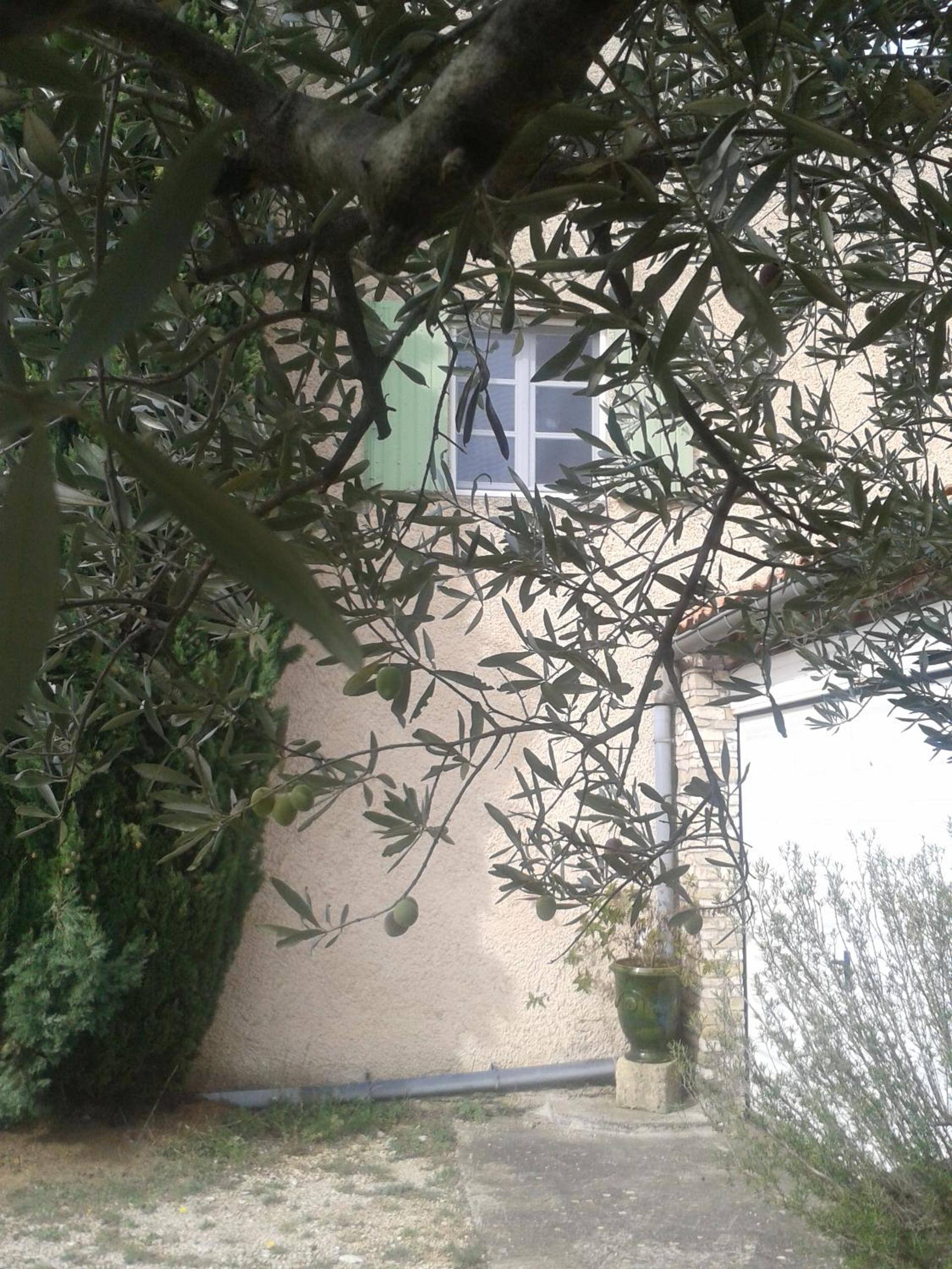 Photo 17