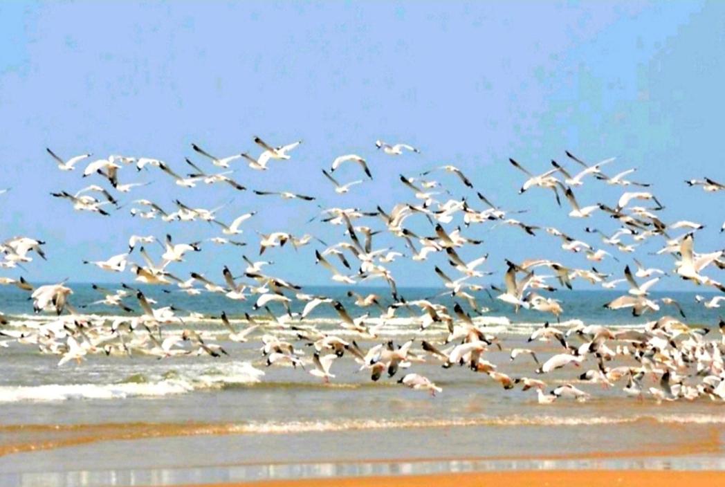 Samant Beach Resort