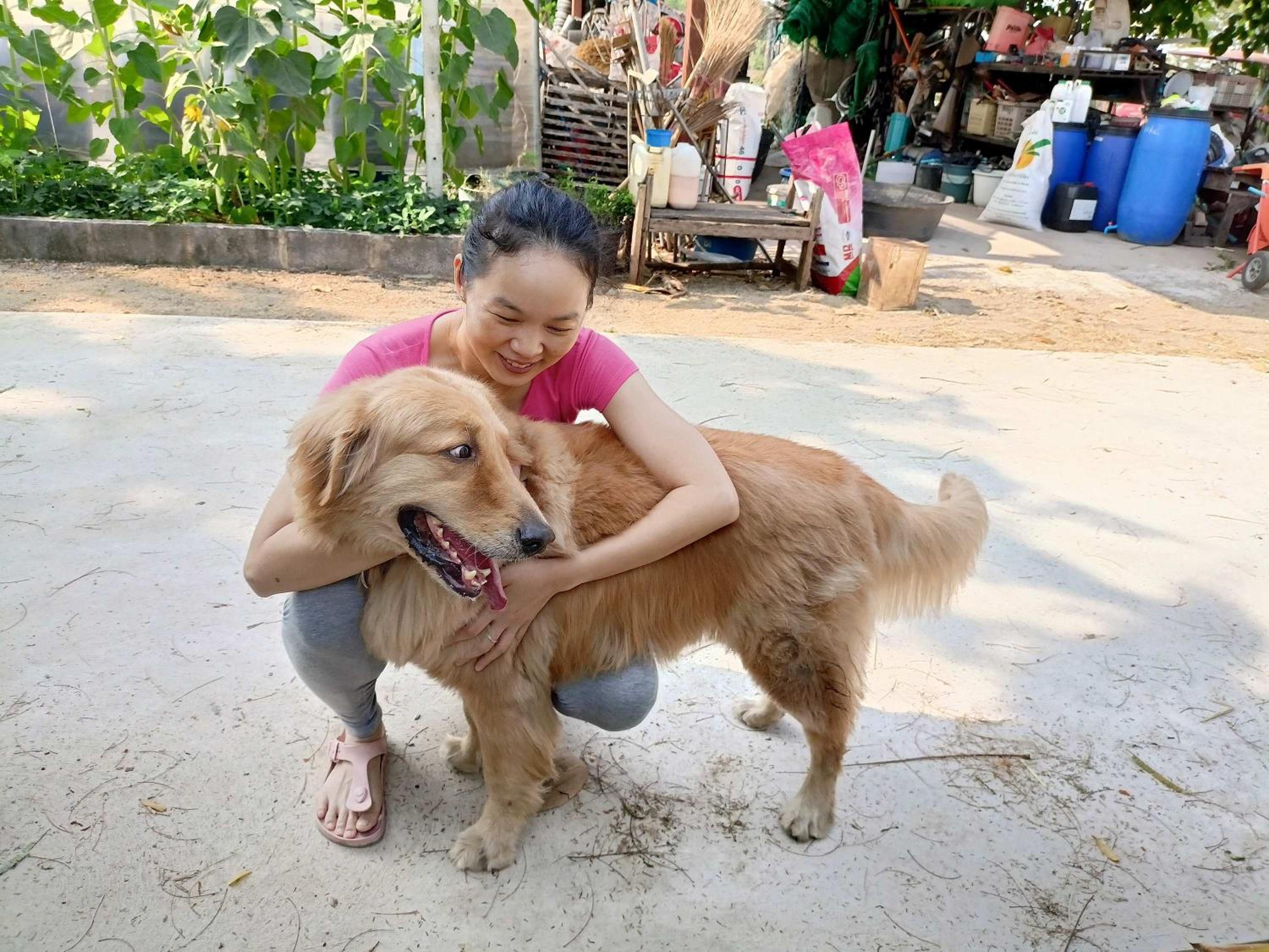 Tantai Eco Farm Stay At Khao Yai