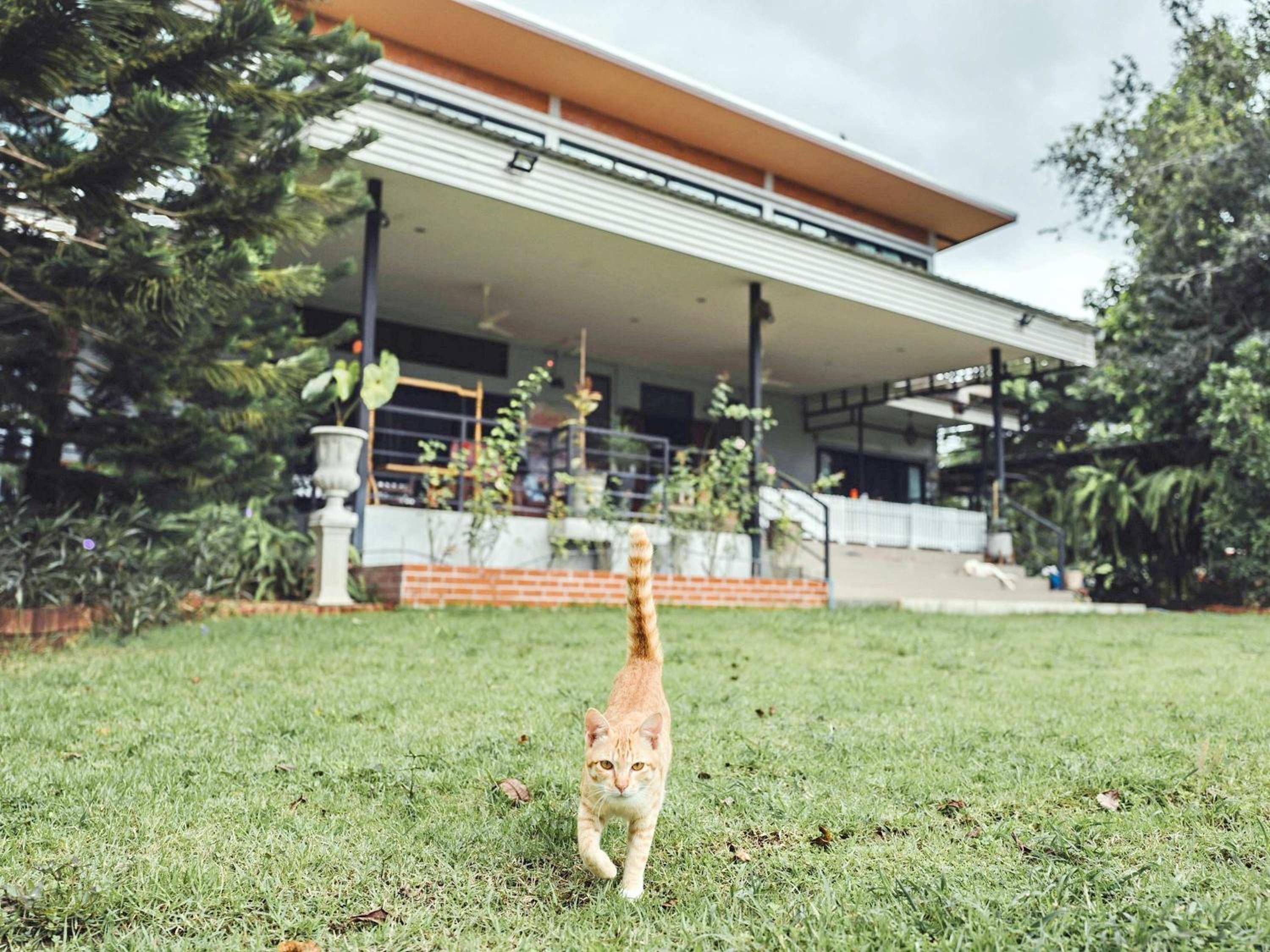 Tantai Eco Farm Stay At Khao Yai