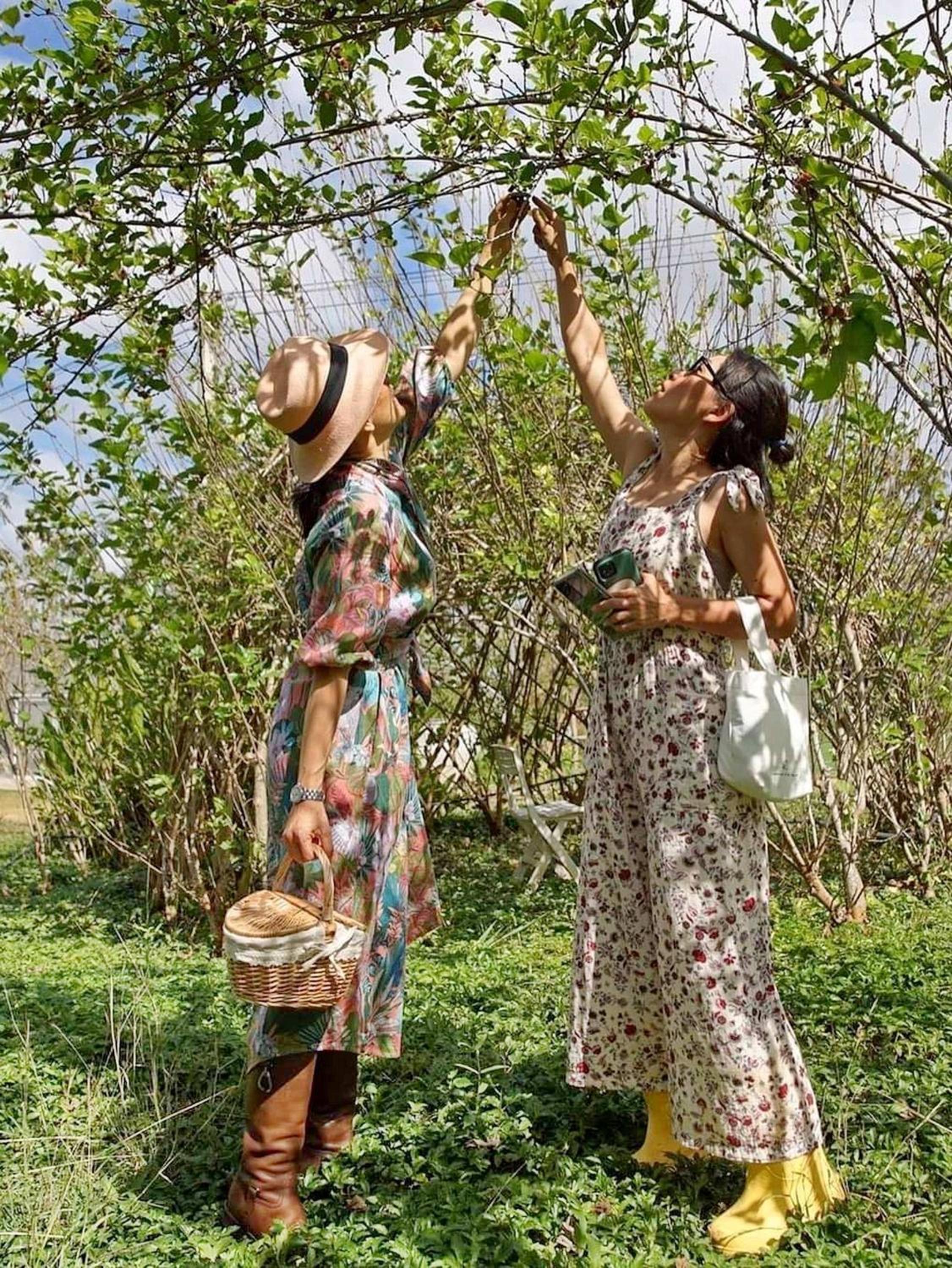 Tantai Eco Farm Stay At Khao Yai