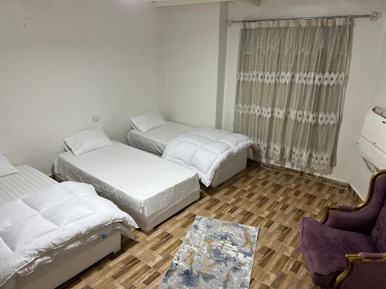 Amon apartment
