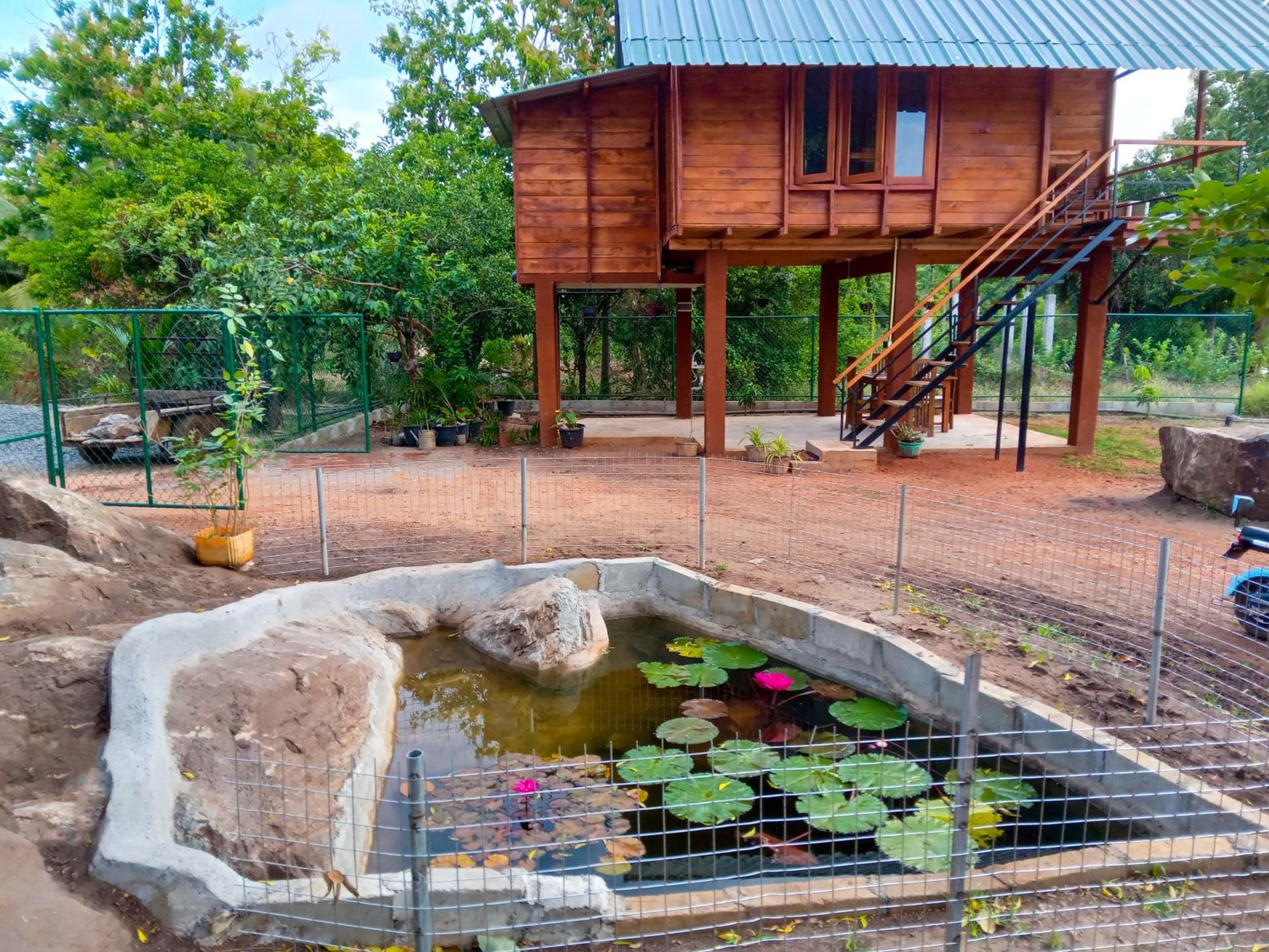Lion Wood Treehouse