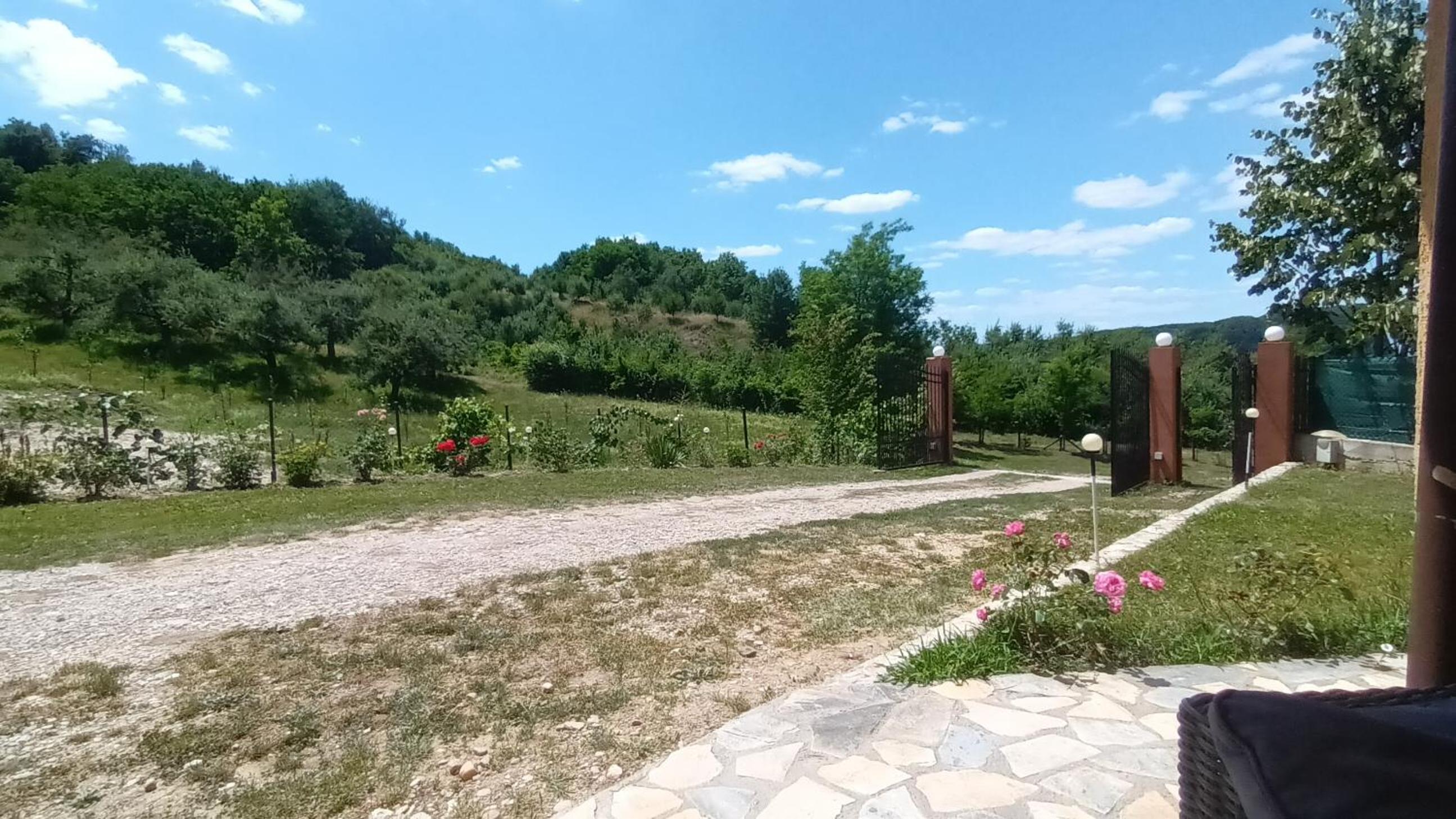Photo 16